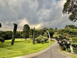 Cluny Park (D10), Detached #560244461